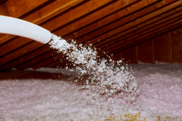 Best Insulation Maintenance and Repair in Volo, IL