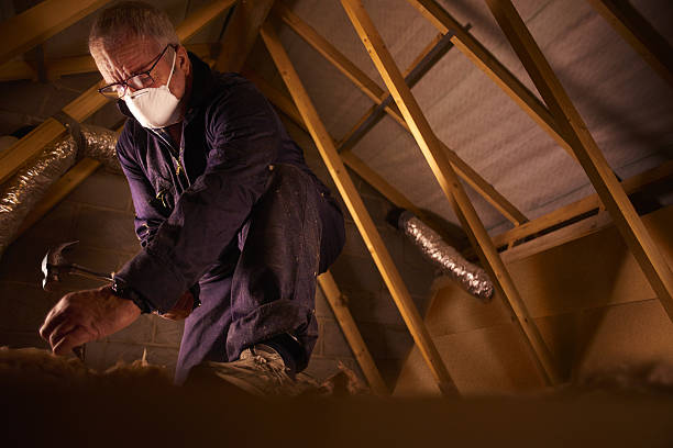 Best Insulation Materials and Products in Volo, IL